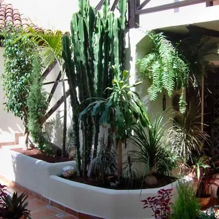 Apartment Ferienwohnung Mit Meerblick - F4156 - #95405 Icod De Los Vinos