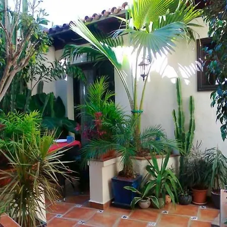Ferienwohnung Mit Meerblick - F4156 - #95405 Apartment